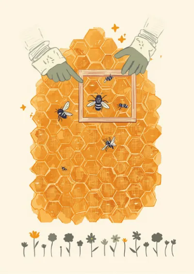 Editorial non-fiction illustration showing a cutaway beehive with bees on the comb and a beekeeper lifting out a frame