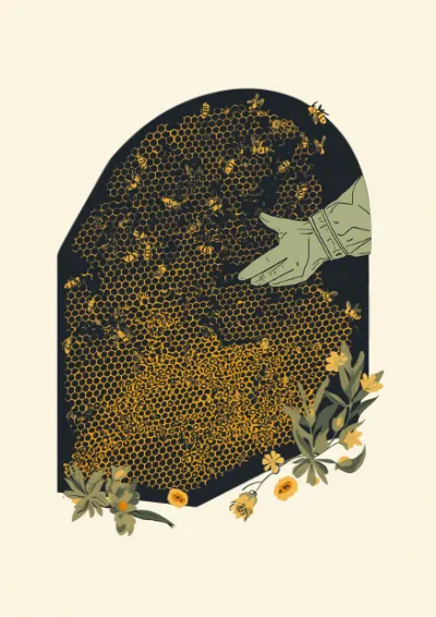 Editorial non-fiction illustration showing a cutaway beehive with bees on the comb and a beekeeper lifting out a frame